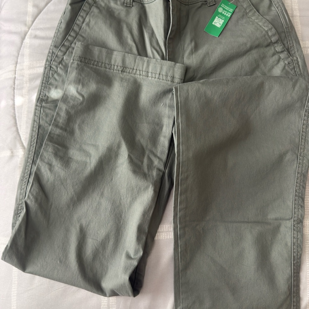 GAP Green Chino Pants with Flat Front Design